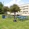 baymont by wyndham champaign