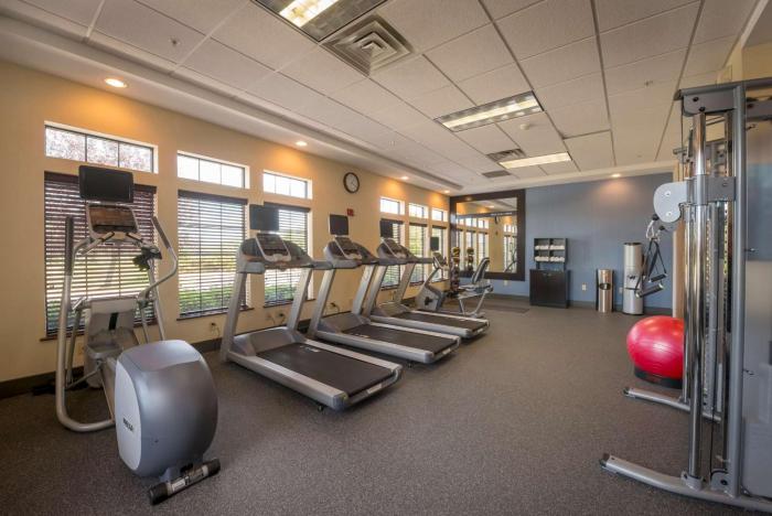 hampton inn and suites binghamton vestal