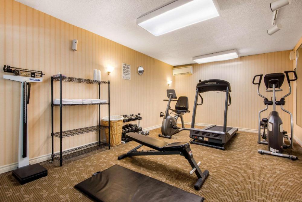 quality inn and suites toronto west
