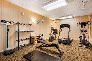 quality inn and suites toronto west