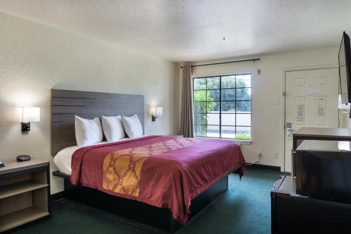 oyo inn and suites medical center san antonio