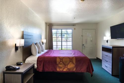 oyo inn and suites medical center san antonio