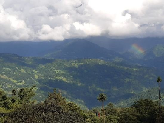 the atrium park homestay kalimpong