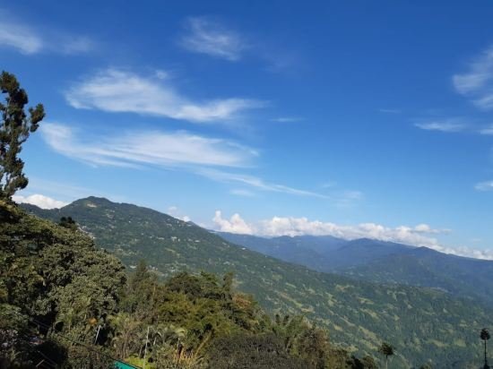 the atrium park homestay kalimpong