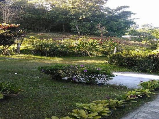 the atrium park homestay kalimpong