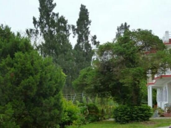 the atrium park homestay kalimpong