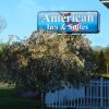 american inn and suites houghton lake