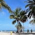 lime tree bay resort