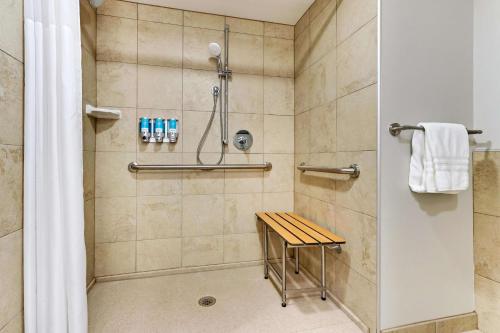 drury plaza hotel st paul downtown