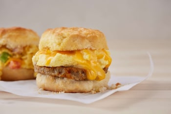 drury plaza hotel st paul downtown