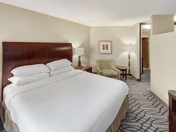 doubletree by hilton hotel st paul downtown