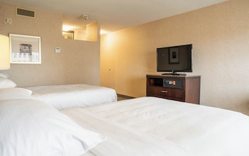 doubletree by hilton hotel st paul downtown