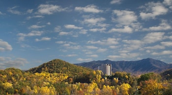 the park vista gatlinburg a doubletree hotel
