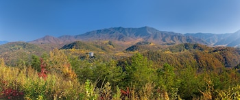 the park vista gatlinburg a doubletree hotel
