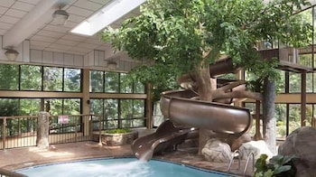 the park vista gatlinburg a doubletree hotel