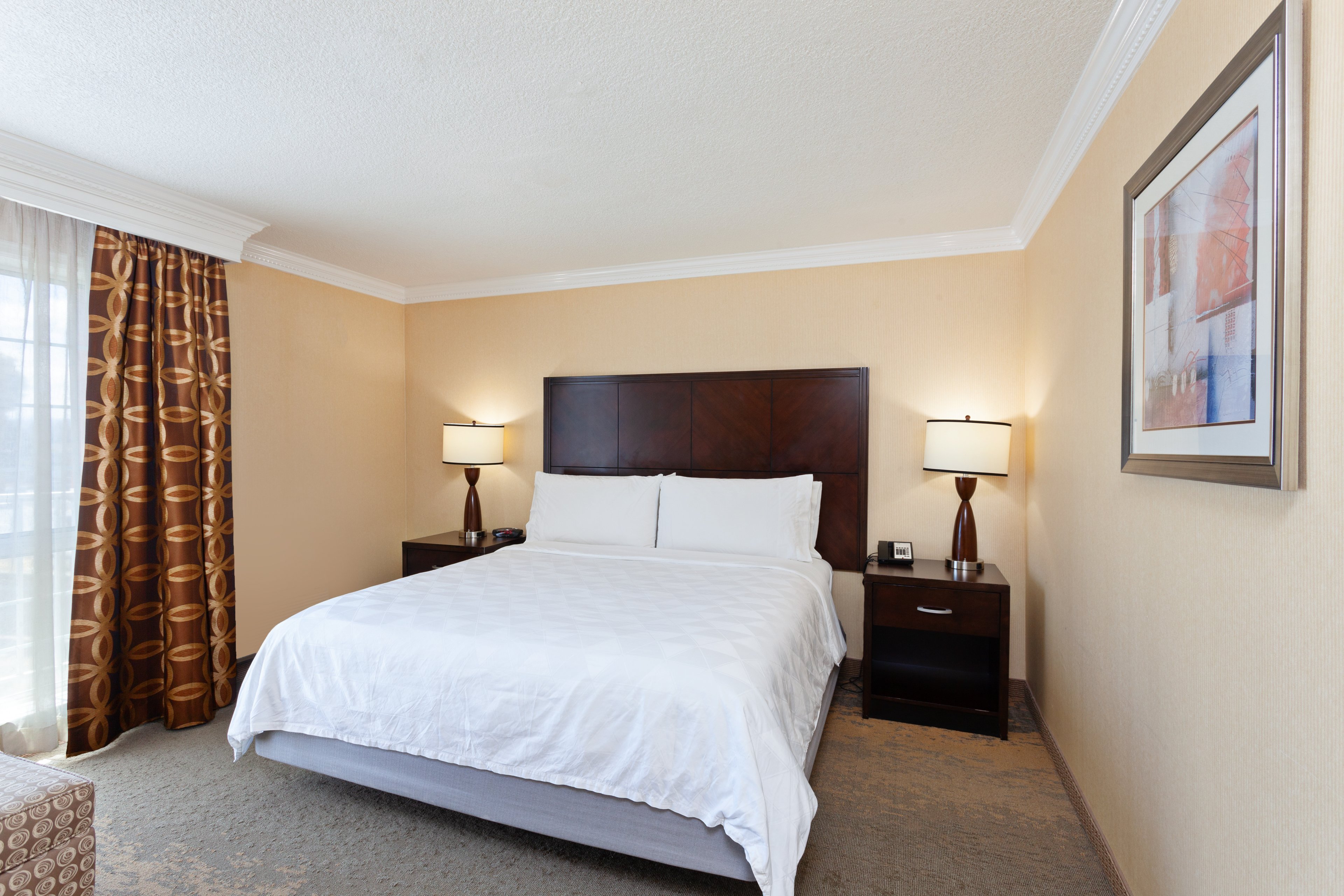 holiday inn and suites san mateo sfo by ihg