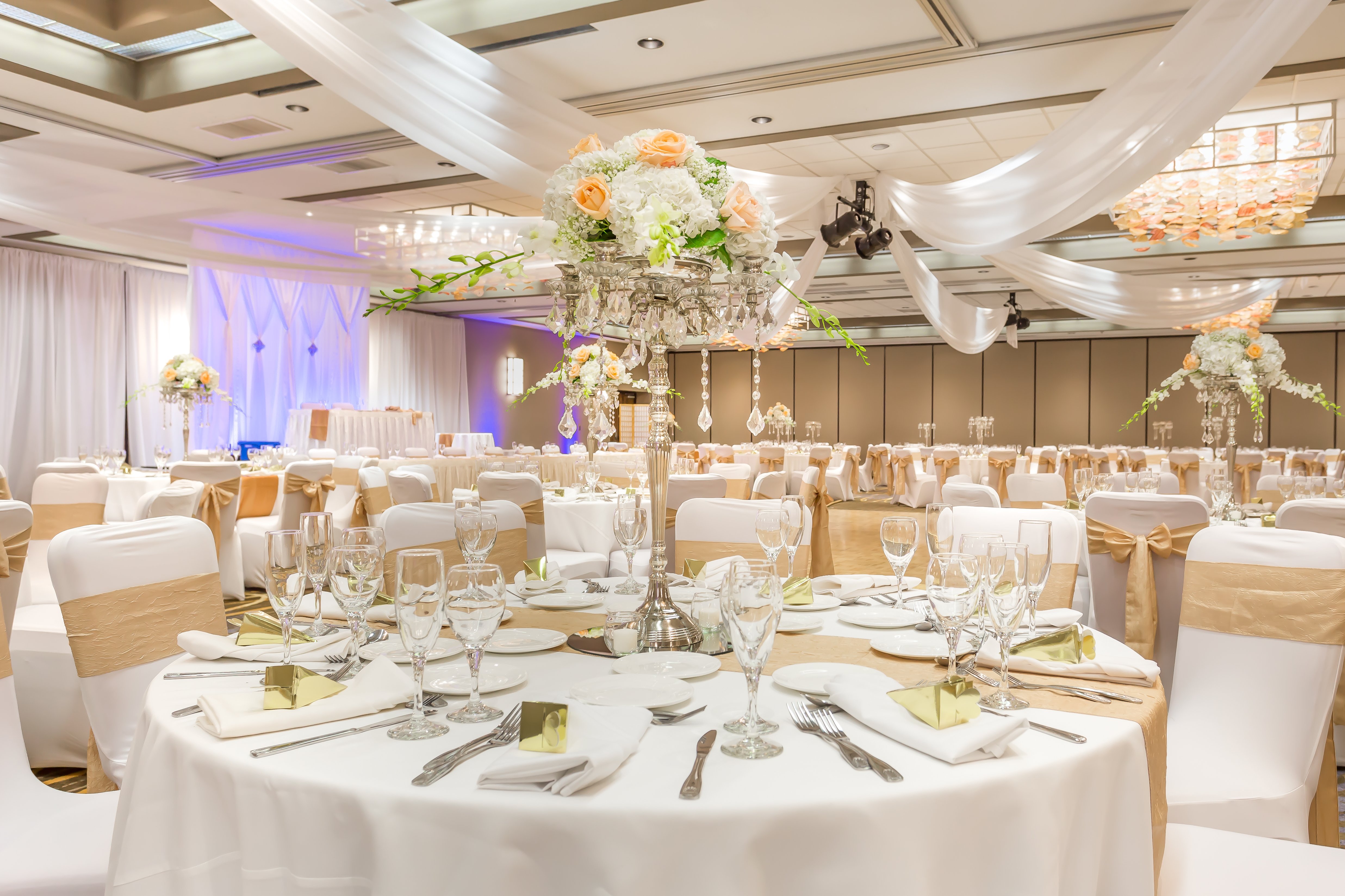 crowne plaza hotel foster city san mateo by ihg