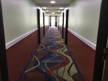 econo lodge lincoln