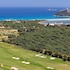 almar timi ama resort and spa