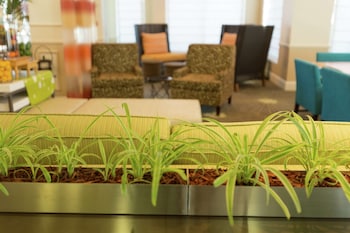 hilton garden inn st augustine beach