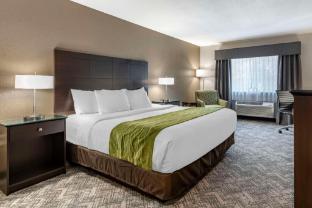 comfort inn and suites tualatin lake oswego south