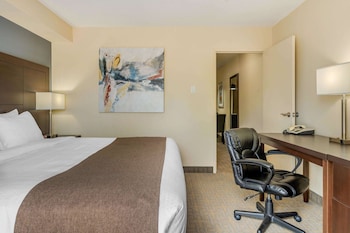 quality inn and suites bathurst