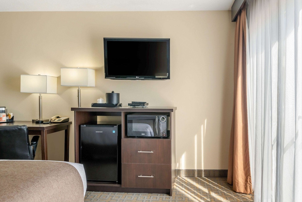 quality inn and suites bathurst