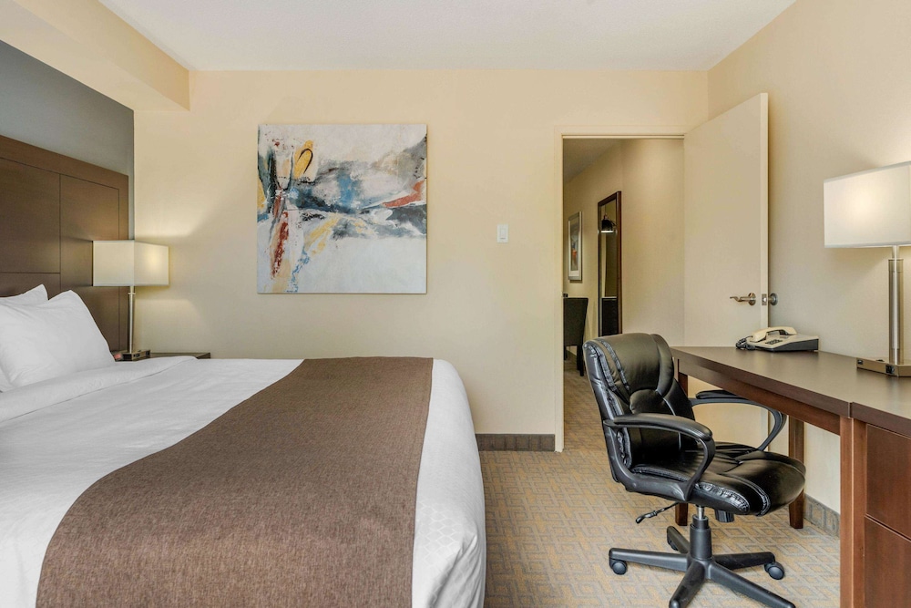 quality inn and suites bathurst