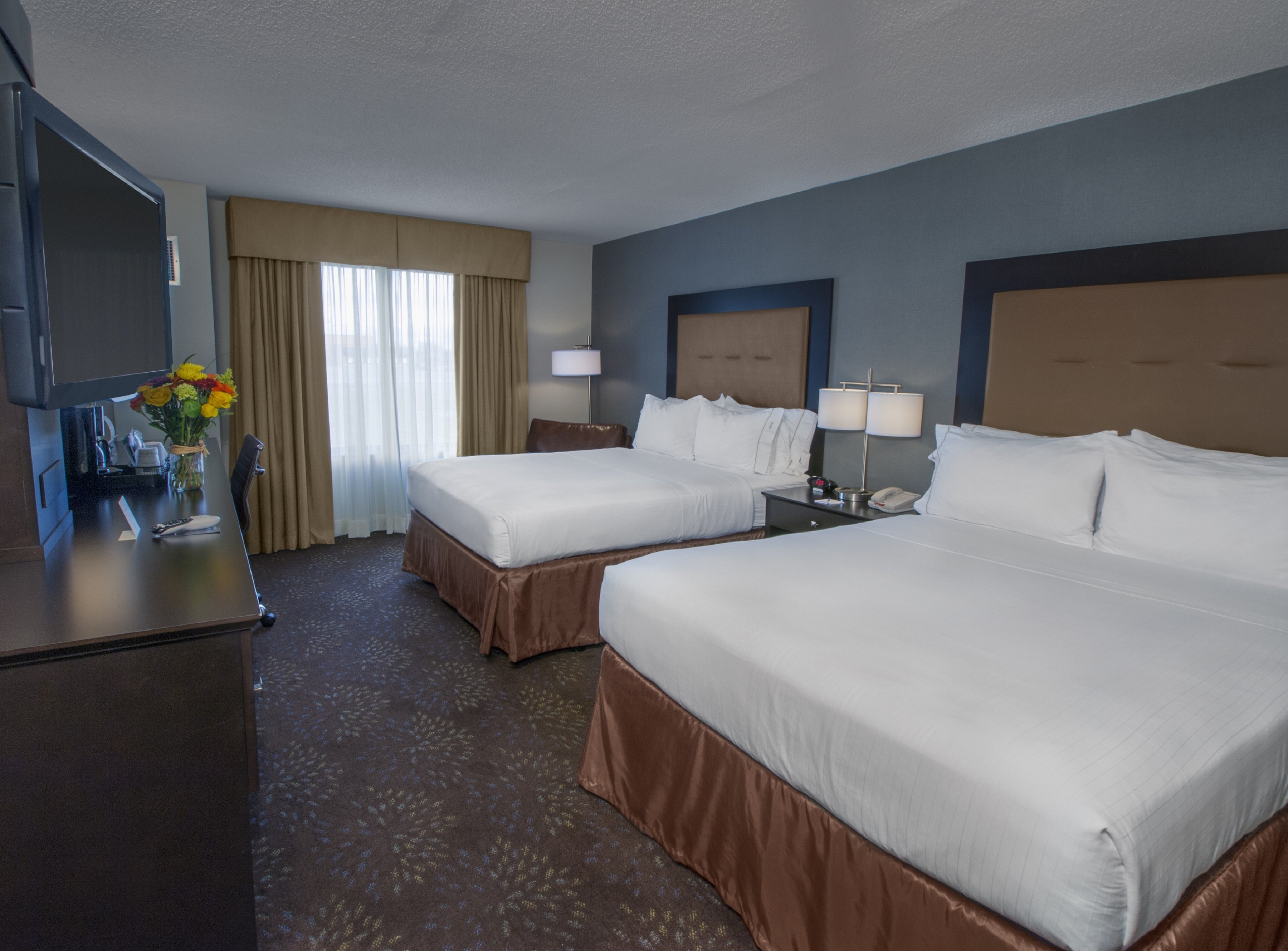 holiday inn express hotel and suites buffalo airport by ihg