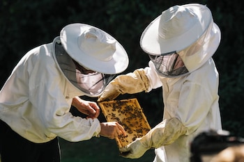 valkenburg aan de geul
