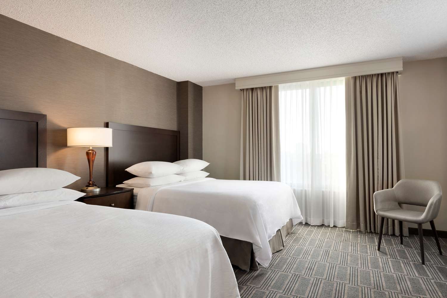 embassy suites by hilton chicago lombard oak brook