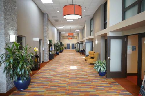 holiday inn and suites chicago carol stream wheaton by ihg