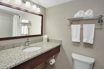Holiday Inn & Suites Chicago-Carol Stream (Wheaton) By Ihg,Chicago>>Carol Stream,3 star
