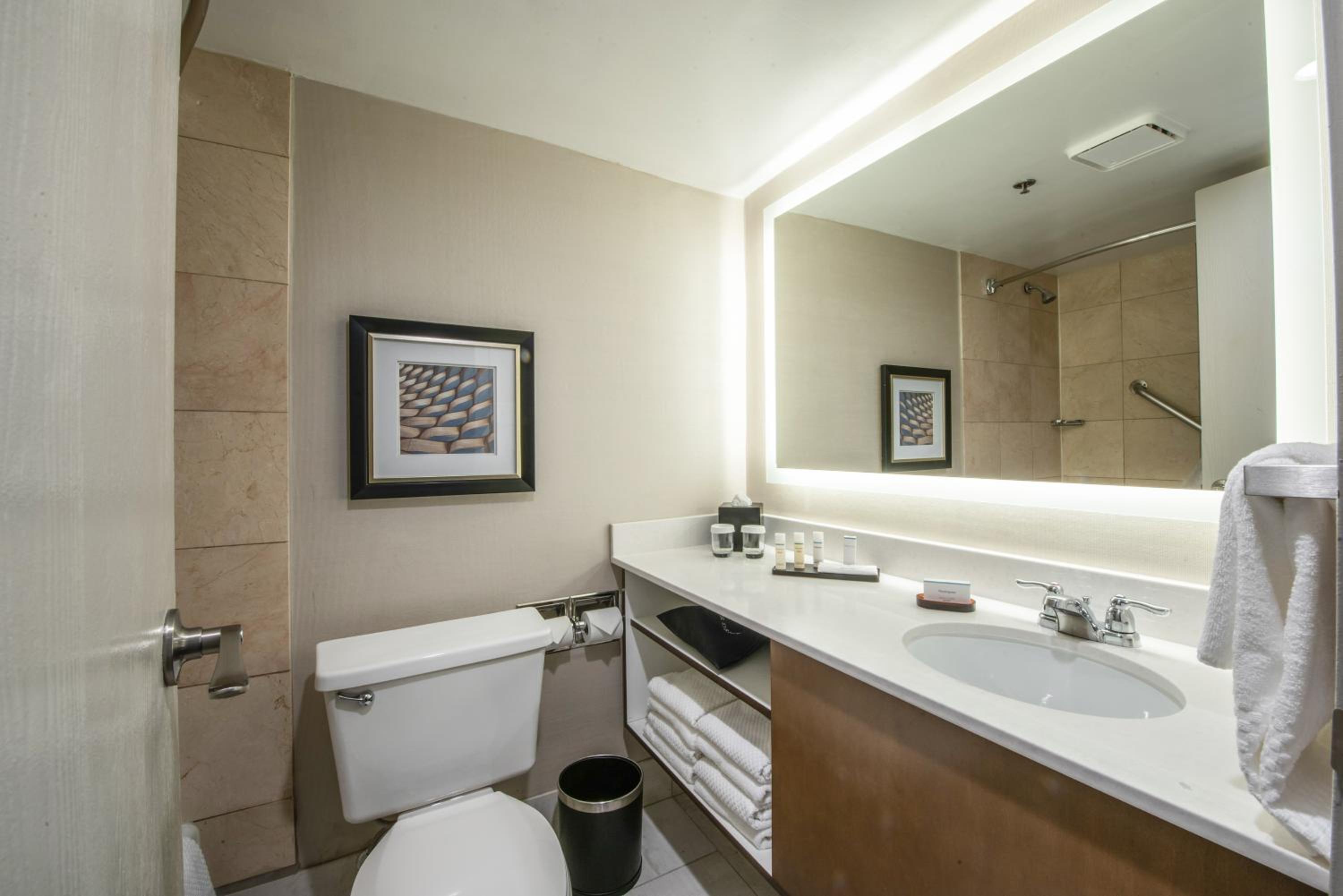 embassy suites by hilton chicago schaumburg woodfield