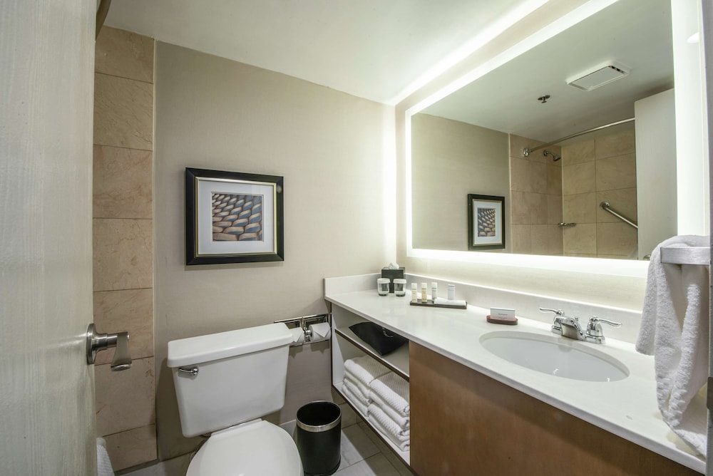 embassy suites by hilton chicago schaumburg woodfield