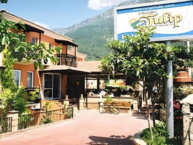 magic tulip hotel