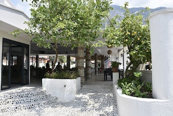 magic tulip hotel