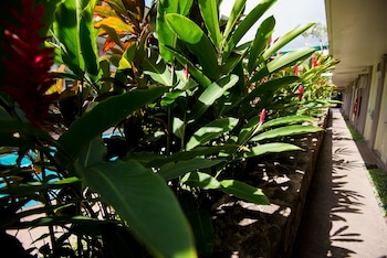Pacific Marina Inn Airport Hotel,Honolulu>>Hawaii,2 star