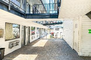 luxury inn by oyo albany