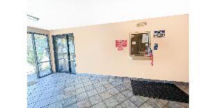luxury inn by oyo albany