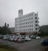 skyheart hotel narita