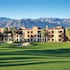palm desert