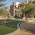 palm desert
