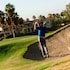 palm desert