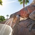 palm desert