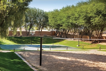 palm desert