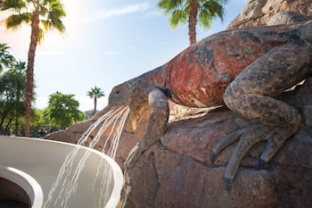 palm desert