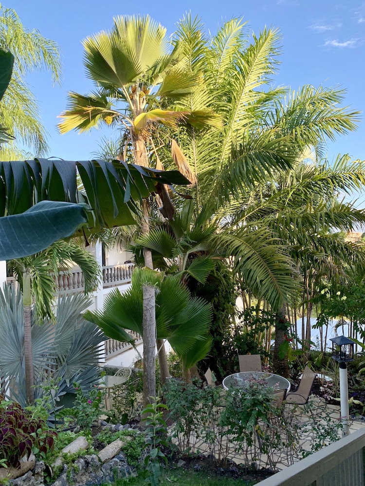 rincon