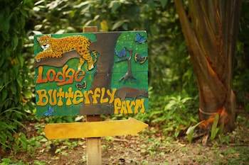la ceiba