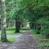 le controis en sologne